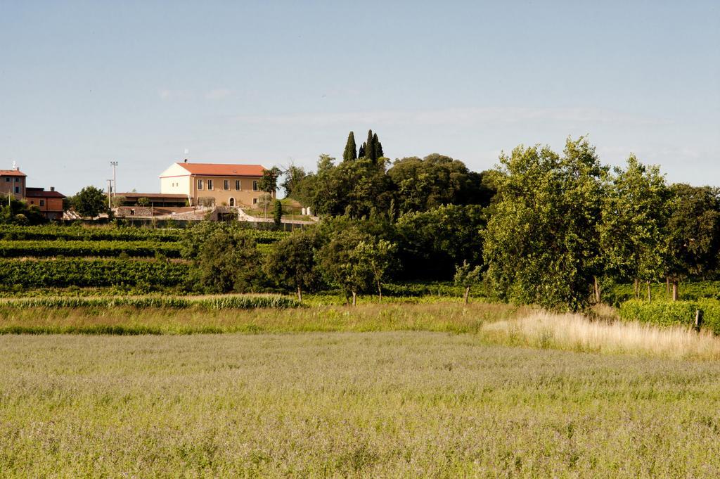 Agriturismo Panorama Salionze Dış mekan fotoğraf